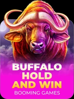 Buffalo Hold And Win
