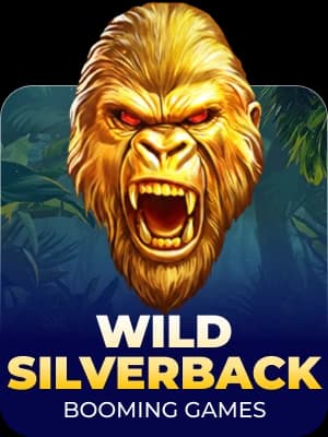 Wild Silverback