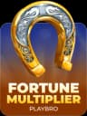 Fortune Multiplier