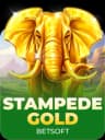 Stampede Gold
