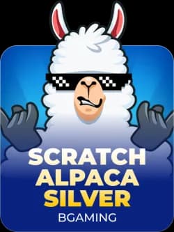 Scratch Alpaca Silver