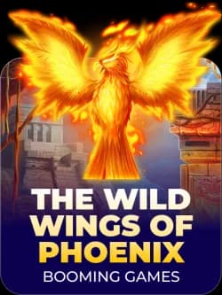The Wild Wings Of Phoenix