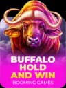 Buffalo Hold And Win