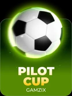Pilot Cup
