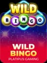 Wild Bingo